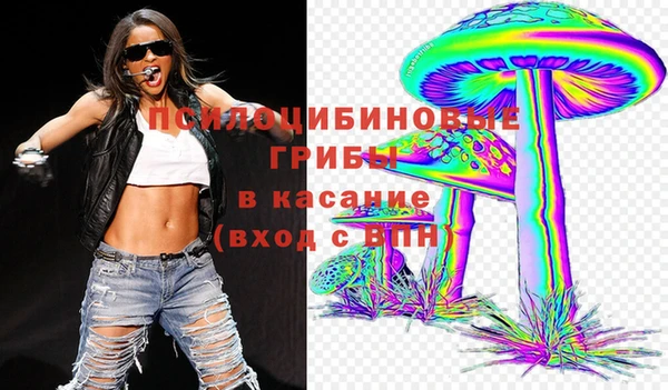 spice Абаза