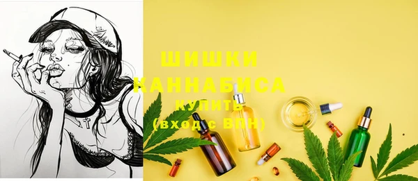 spice Абаза