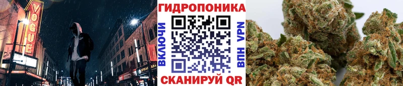 Конопля Ganja  Прохладный 